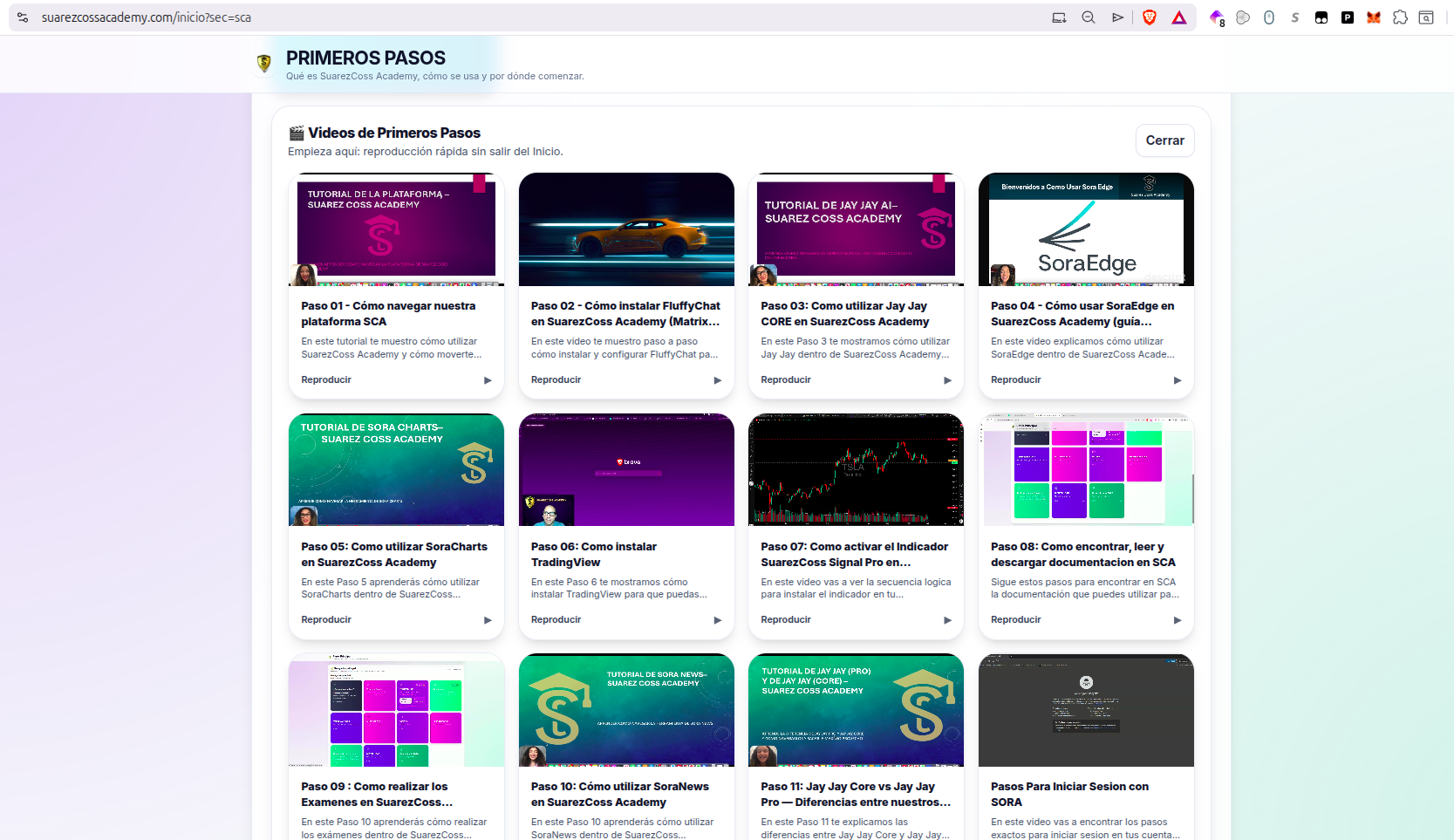 Primeros pasos dentro de la academia